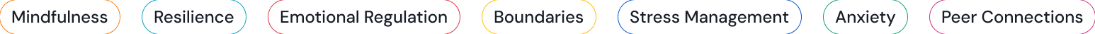 Mental health topics including Mindfulness, Resilience, Emotional Regulation